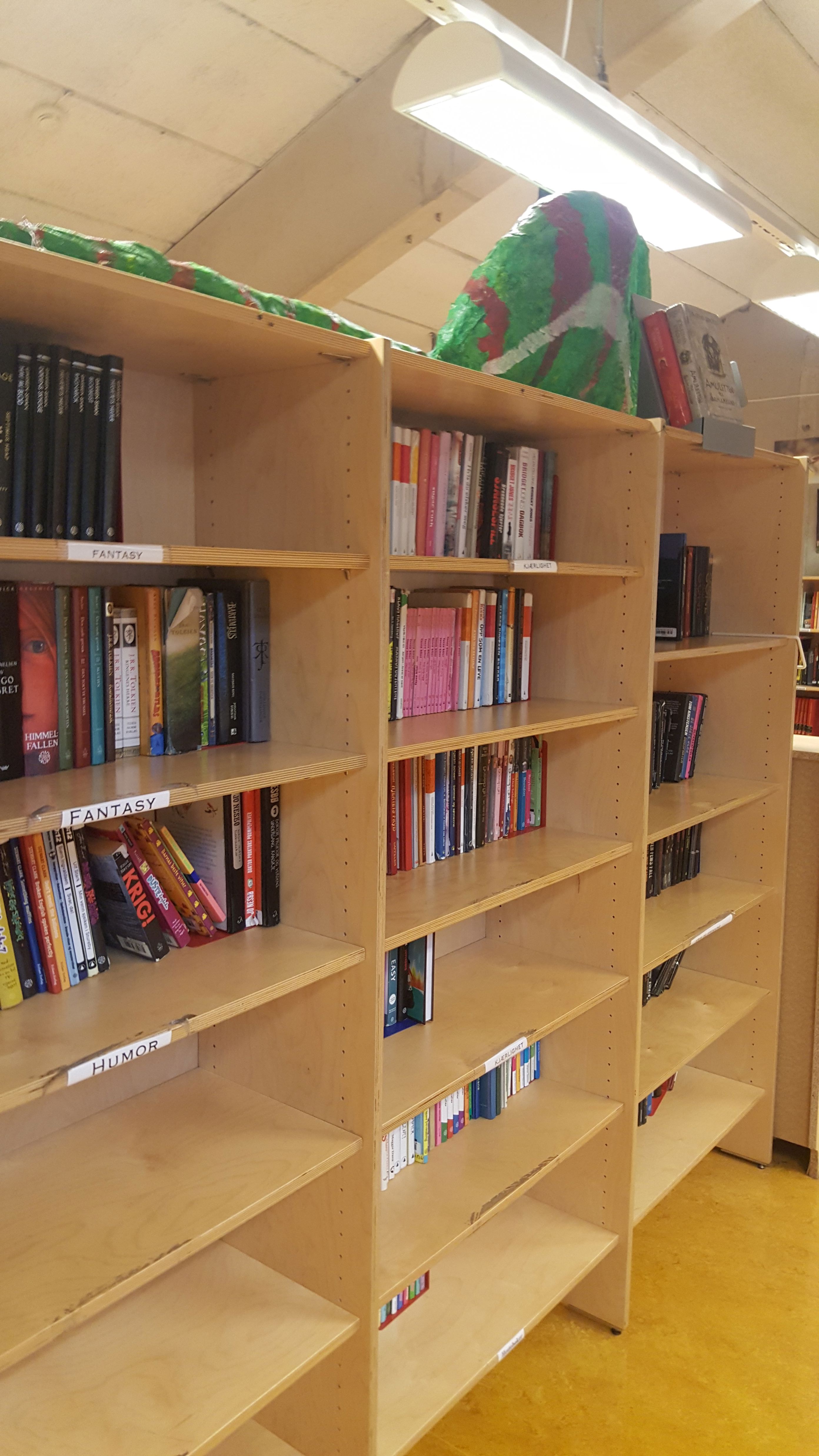 Skjønnlitteraturen Skjønnlitteraturen